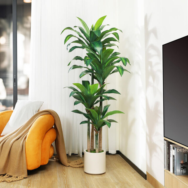 Artificial Dracaena Plant 180Cm Fake Tall Tree With White Planter,Faux Dragon Tree Plant Indoor Floor Porch Home Decor Office Living Room,1Pcs