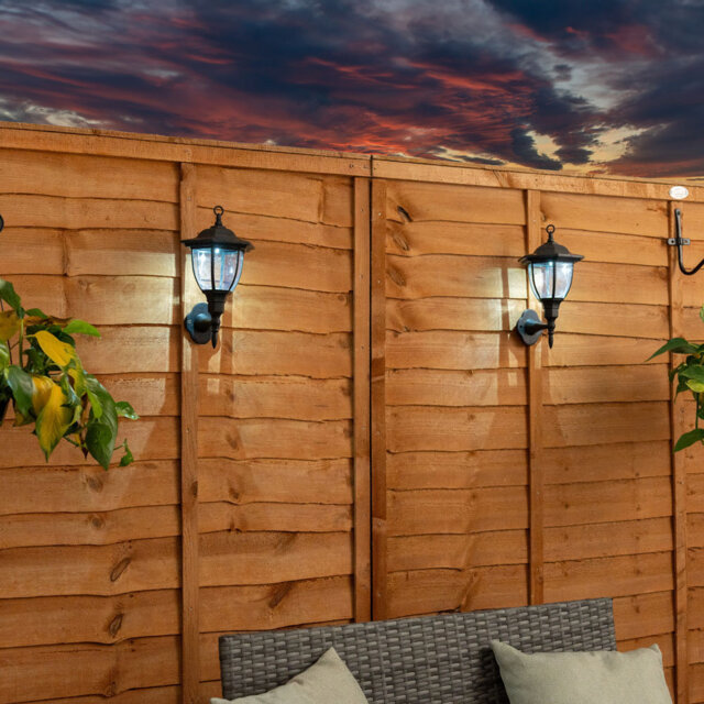 Midlothian Black 4 - Bulb 22cm H Solar Powered Integrated LED Outdoor Wall Lantern