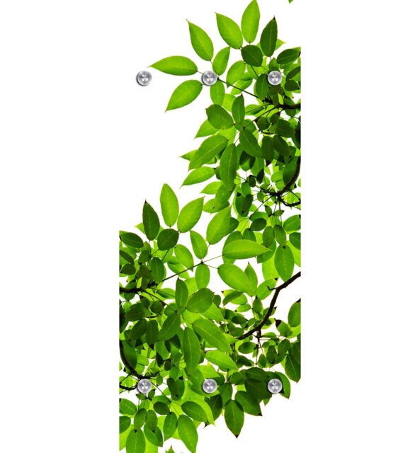 Wolverton Plastic Wall 6 - Hook Wall Mounted Coat Rack