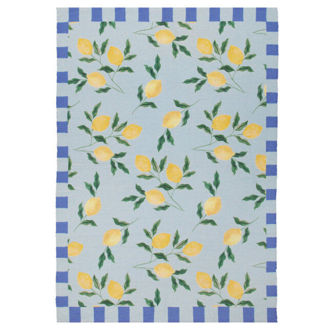 Floral Flatweave 120cm X 170cm Indoor / Outdoor Area Rug