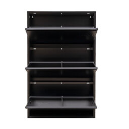 Cathelene 6 Pair Shoe Storage Cabinet
