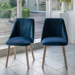 Aggarwal 48cm H Side Chair - Set of 2