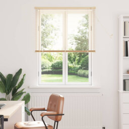 Venetian Blind