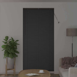 Venetian Blind