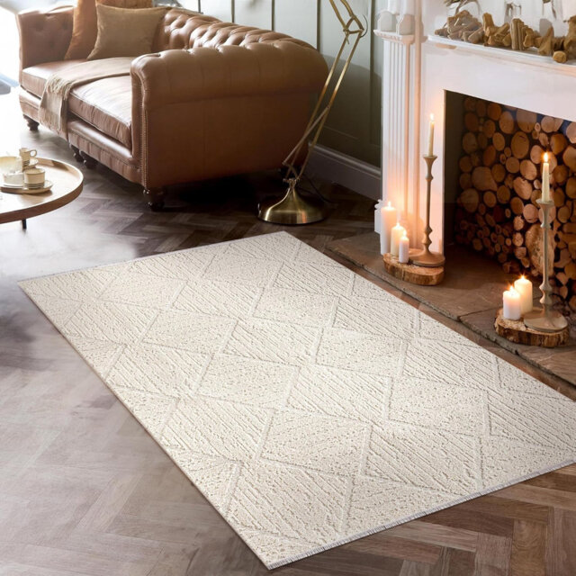 Beautiful Fluffy Area Rugs Soft Living Room Carpets Low Pile Bedroom Rug Non Slip Floor Mat - JL001