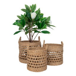 Bay Isle Home Alydia Seagrass Decorative Basket