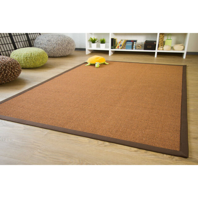 Sisal Rug Brentford - flat woven Brown / border dark Brown