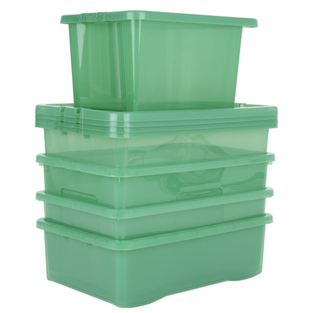 Wham Crystal 5 Piece Bundle Tint Leprechaun Green