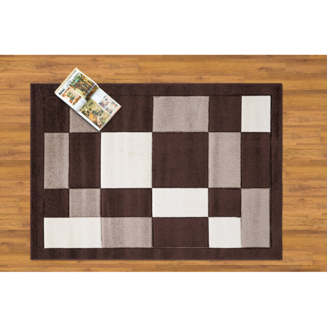 Bricelyn Handwoven Brown/White Rug