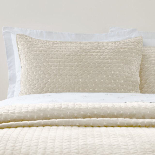 Attica Velvet Embroidered Pillow sham Pair