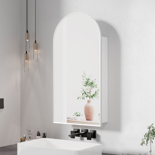 Aishwarya 40mm W 80mm H Medicine Cabinet Mirror