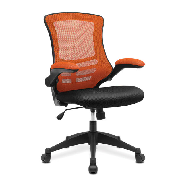 Bergan Mesh Office Chair