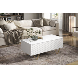Bansilal Four Leg Coffee Table with Storage