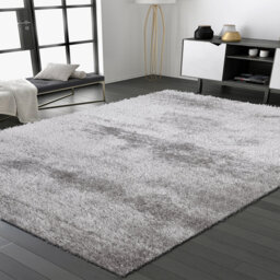 Ceianne Shag Indoor / Outdoor Area Rug