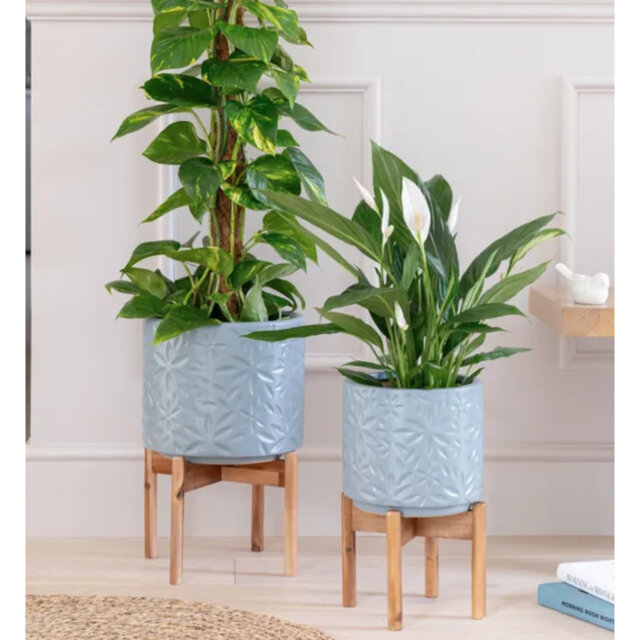Plant Stand - Set of 2