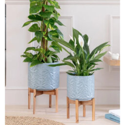 Plant Stand - Set of 2