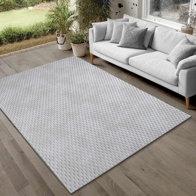 Non Slip Rugs Living Room Bedroom Door Mat Hallway Runner Rug Kitchen Mat Carpet