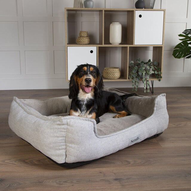 Scruffs Harvard Orthopedic Dog Bed - For Ultra Support & Comfort