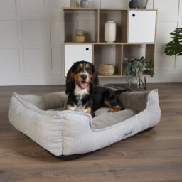Scruffs Harvard Orthopedic Dog Bed - For Ultra Support & Comfort