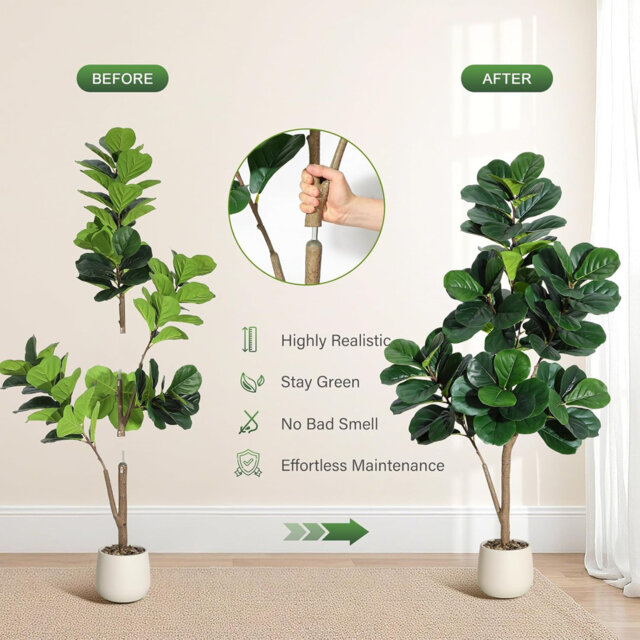Plant