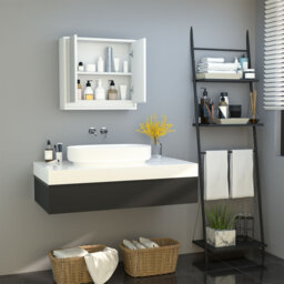 W H Medicine Cabinet Mirror