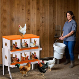 Chicken Nesting Box, 6 Compartment Galvanized Steel Chicken Laying Boxes, Nesting Boxes for Chickens, Easy Egg Collection for Chicken Coop, Backyard,