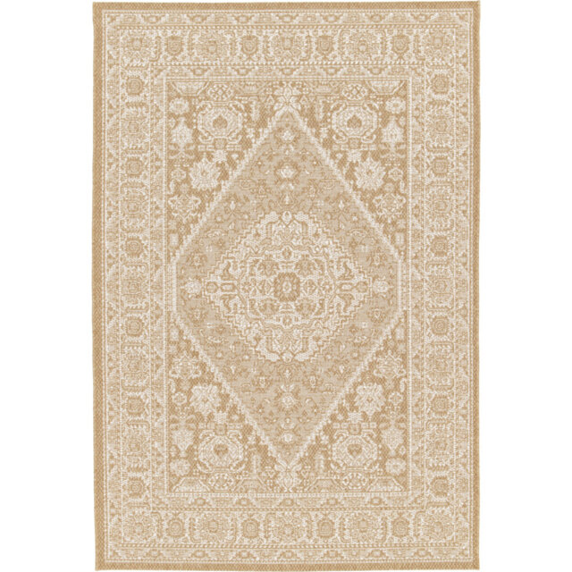 Vintage Look Indoor / Outdoor Area Rug