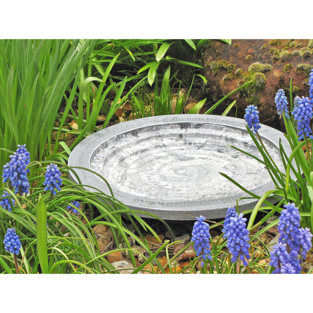 Aymir Plastic/Acrylic Single Tier Birdbath