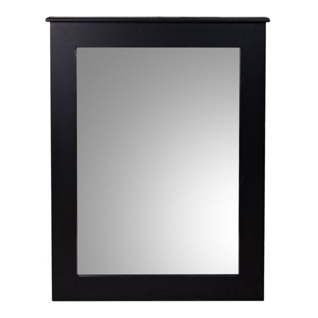 Blountville Wood Framed Wall Mounted Accent Mirror in Black