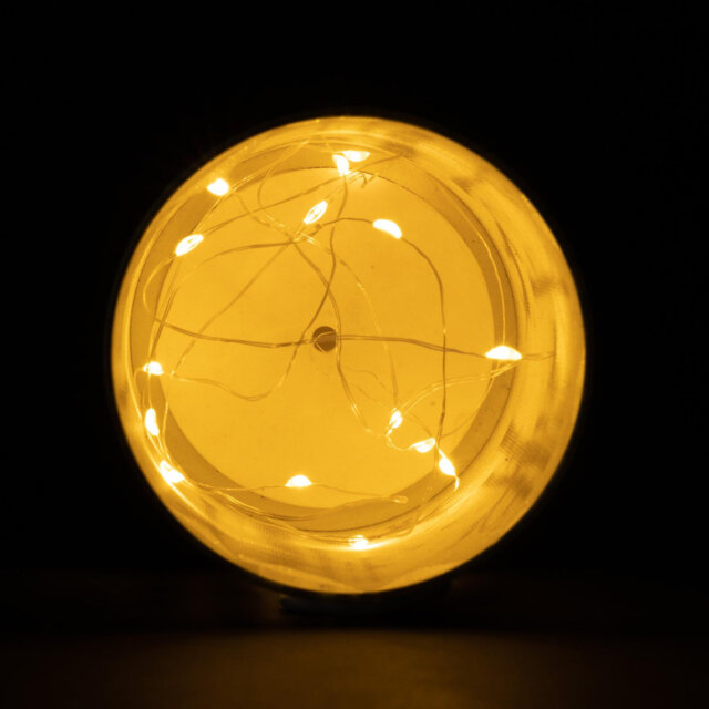LED Indoor / Outdoor Single Christmas Light