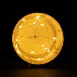 LED Indoor / Outdoor Single Christmas Light