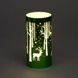 Single Christmas Light