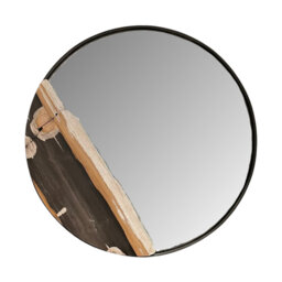 Petrified Wood Mirror
