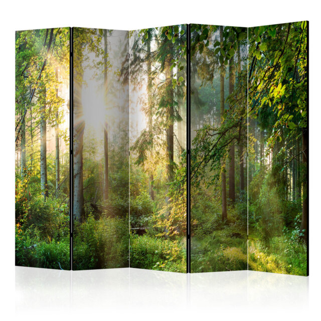 225cm W x 172cm H 5 - Panel Wood Folding Room Divider