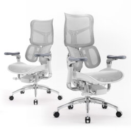 Ergonomic Office Chair, with Dual Dynamic Lumbar Support, 6D Coordinated Armrest