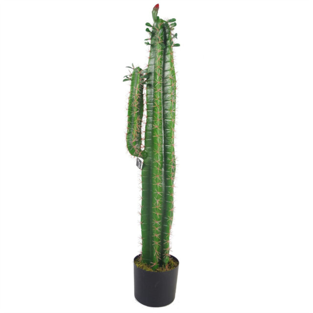 Artificial Cacti Cactus Plant Realistic Plants Realistic Faux House Plants
