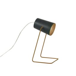 Adjustable Metal Desk Lamp