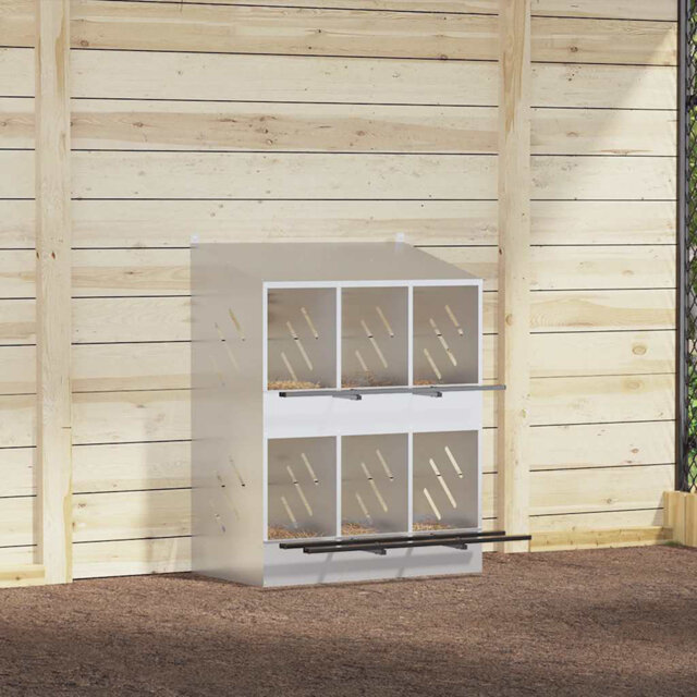 Chicken Coop