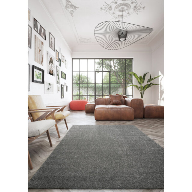 Area Rug