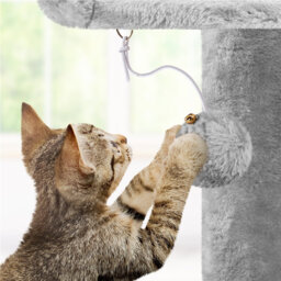 Cat Tree