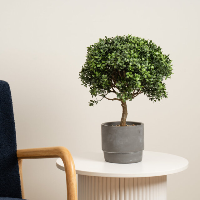 45cm Faux Mini Topiary Plant in Cement Pot