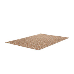 Jalynn Flatweave Indoor/Outdoor Ginger Rug