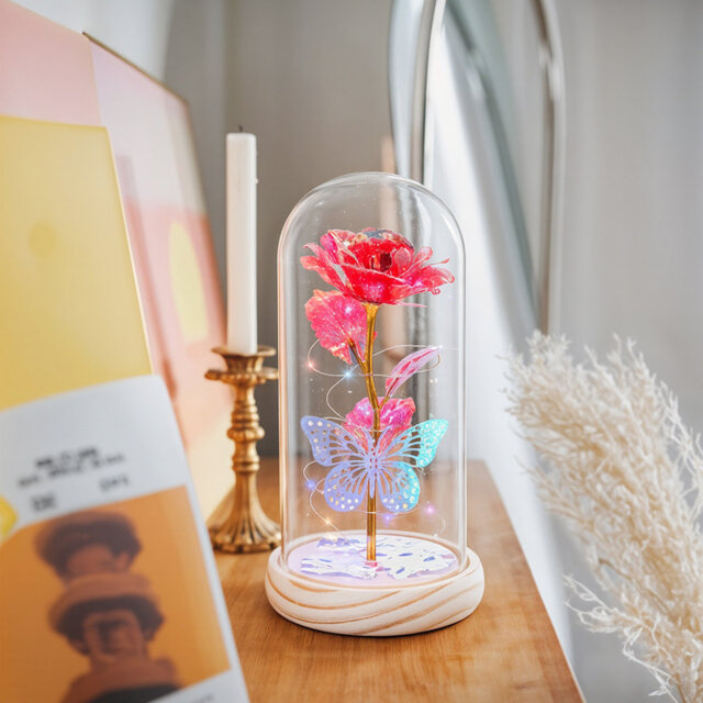 Cloche Or Water Globe