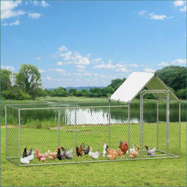 Walk In Chicken Run with Wire Mesh For Up To 10 Chickens