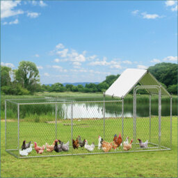 Walk In Chicken Run with Wire Mesh For Up To 10 Chickens