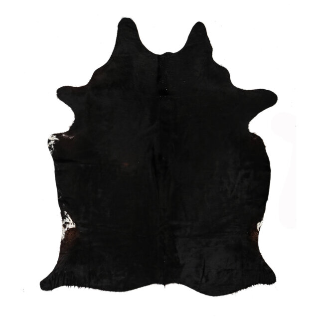 "Ollert One-of-a-Kind 5'5"" x 6'7"" Area Rug in Black"