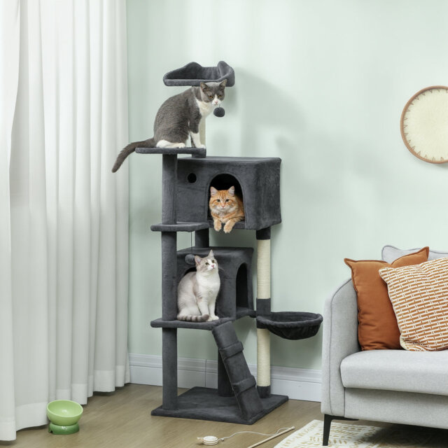 Cat Tree
