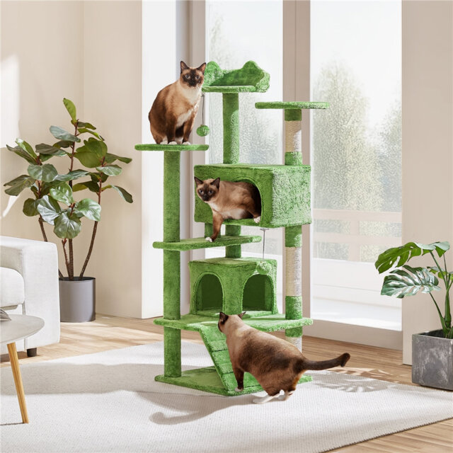 Multilevel Cat Tree Condo with Scratching Posts