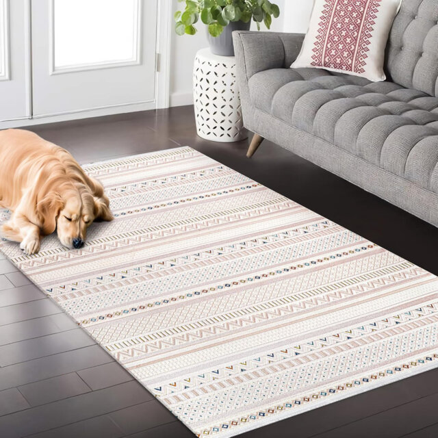 Indoor Area Rugs Low Pile Bedroom Rug Non Slip Floor Mat Soft Entryway Carpet Pad for Hallway ZN003
