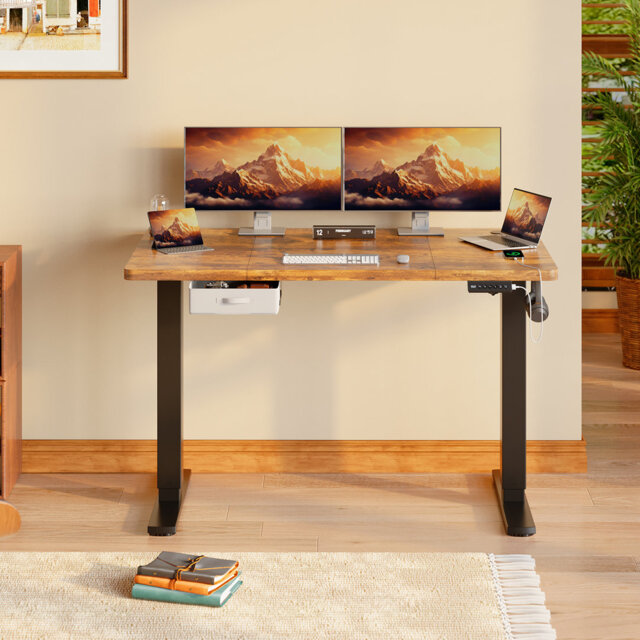 Electric Standing Desk Wide Desktop Height Adjustable Standing Desk With Drawer&Hooks